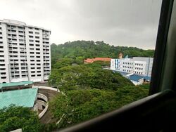 Blk 23 Mount Faber View (Bukit Merah), HDB 4 Rooms #504550651